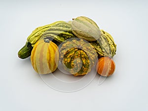 Many different colourful pumpkins on a white background. Halloween, harvest or fall concept. Small ornamental pumpkins