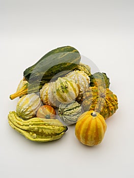 Many different colourful pumpkins on a white background. Halloween, harvest or fall concept. Small ornamental pumpkins