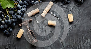 Many different corkscrews varieties with open wine corks on dark concrete background, black grapes. Degustation