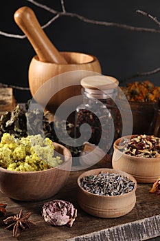 Many different dry herbs, flowers and mortar with pestle on table