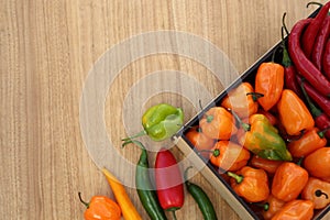 Many different fresh chilli peppers on wooden table, flat lay. Space for text