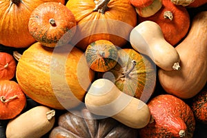 Many different pumpkins as background, closeup.