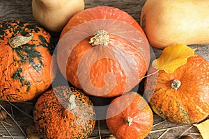 Many different pumpkins on wooden table, top view.