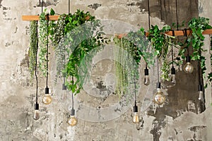 Many different retro Edison light bulbs with garland from green plants and leafs hanging from ceiling.