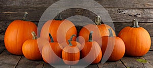 Many different ripe pumpkins