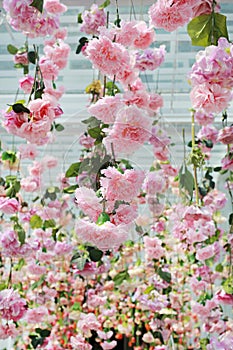 Many different type of sweet artificial flower hanging from ceiling. Beautiful Upside down flowers