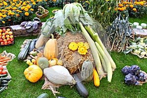 Many Different Vegetables in Garden on a Hay ball