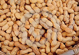 many dired peanut