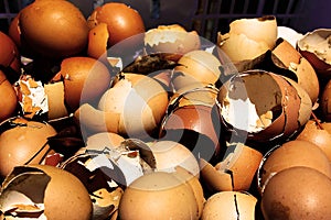 Many dirty cracked brown chicken egg shells