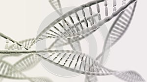 Many DNA chains on the light background photo