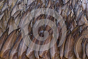 Many of Dried Catfish, focus selective