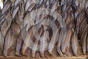 Many of Dried Catfish, focus selective