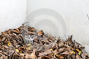 Many dry leaves clogged the drain, causing water to leak inside the building