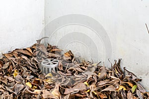 Many dry leaves clogged the drain, causing water to leak inside the building