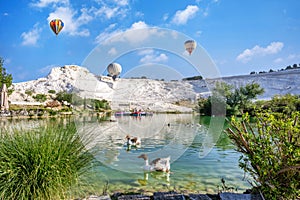 Many ducks are in the water at Travertines of Pamukkale or thermal pools and hot air balloons float in the sky