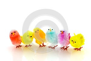 Many easter chickens