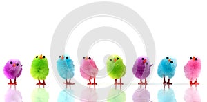 Many easter chicks