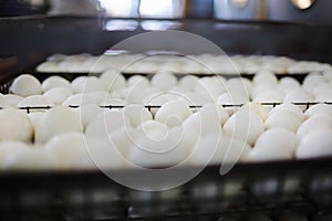 Many eggs in heat incubator