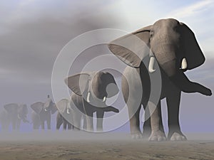 Elephants in a row - 3D render
