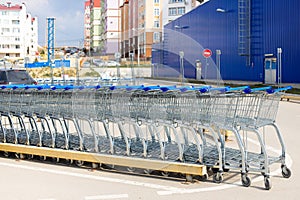 Many empty blue carts for shopping in a supermarket parking