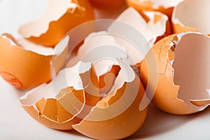 Many empty cracked eggshells photo