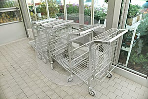 Many empty metal shopping carts in garden center