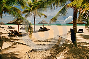 Many empty sun loungers under shady palm trees and a hammock on the beach of Hainan Island