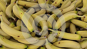 many falling bananas heap full frame background, yellow fruit pile fresh organic exotic food 3D illustration