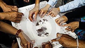 Many farmers are working together to place their seeds in sponge pads in foam trays