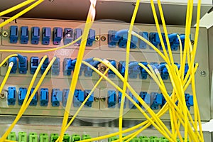 Many fiber optic patch cords are on the distribution frame in the server room.