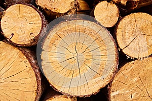Many firewood photo