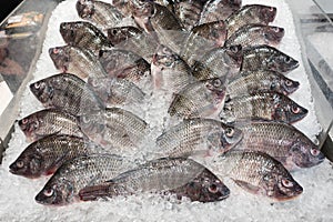 Many fish on ice in super market