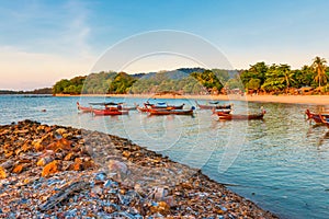 Many fishing boats in sea bay