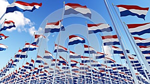 Many flags of Netherlands on flagpoles against blue sky.