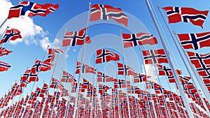 Many flags of Norway on flagpoles against blue sky.
