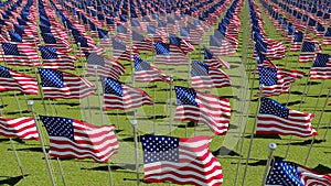 Many flags of USA on flagpoles waving in the wind in green field.