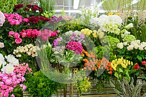 Many flowers in florist shop