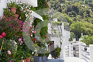 Many flowers in flower pots on a cozy narrow street of white houses of the old town of Capileira Spain