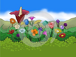So many flowers  grow and look preety illustration