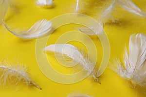 Many fluffy bird feathers on yellow background, closeup