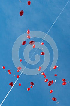 Many flying red heart-shaped balloons in blue sky at wedding