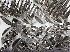 Many forks