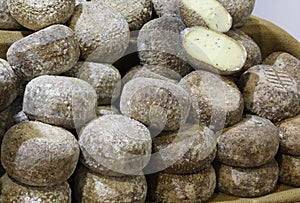 Many forms of truffle flavored caciotta
