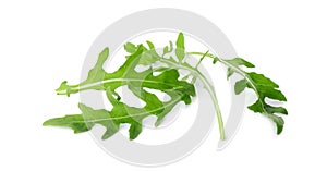 Many fresh arugula leaves isolated on white