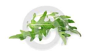 Many fresh arugula leaves isolated on white