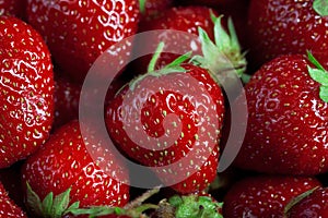 Many fresh big strawberries super macro photo background