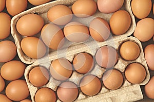Many fresh chicken brown eggs top view