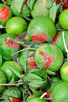 Many fresh Citrus Sinensis in chinese ceremony