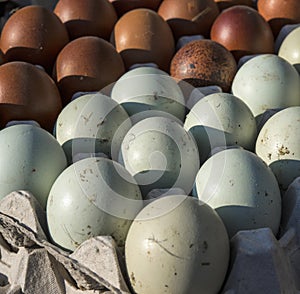 Many fresh duck eggs on sale at market.