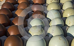 Many fresh duck eggs on sale at market.